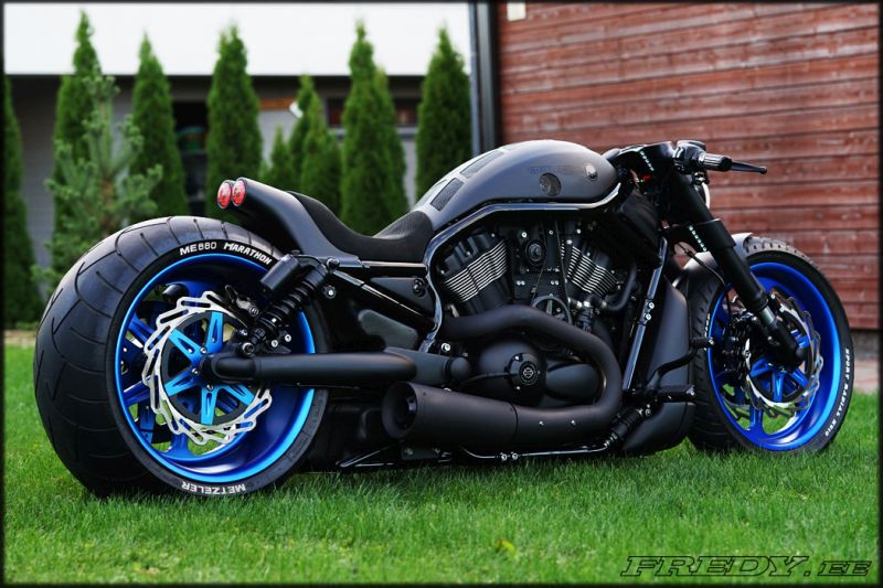 HarleyDavidson Night Rod Performance by Fredy motorcycles