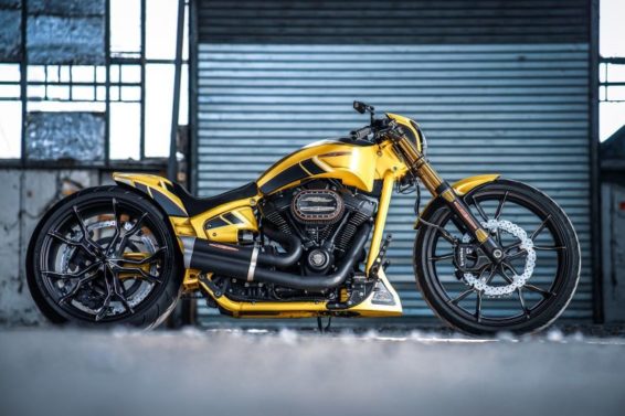 Harley-Davidson Softail Dragster "Silverstone" by Thunderbike
