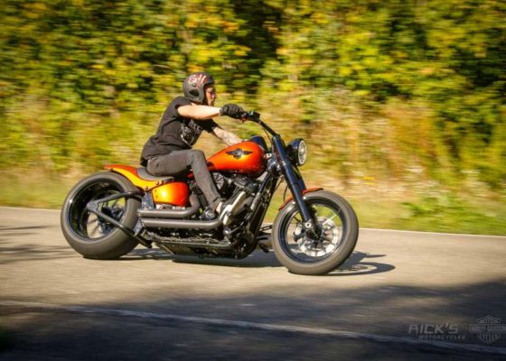 Harley Davidson Softail Slim by Rick's motorcycles