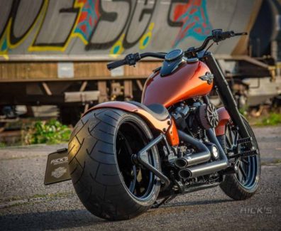 Harley Davidson Softail Slim by Rick’s motorcycles 10
