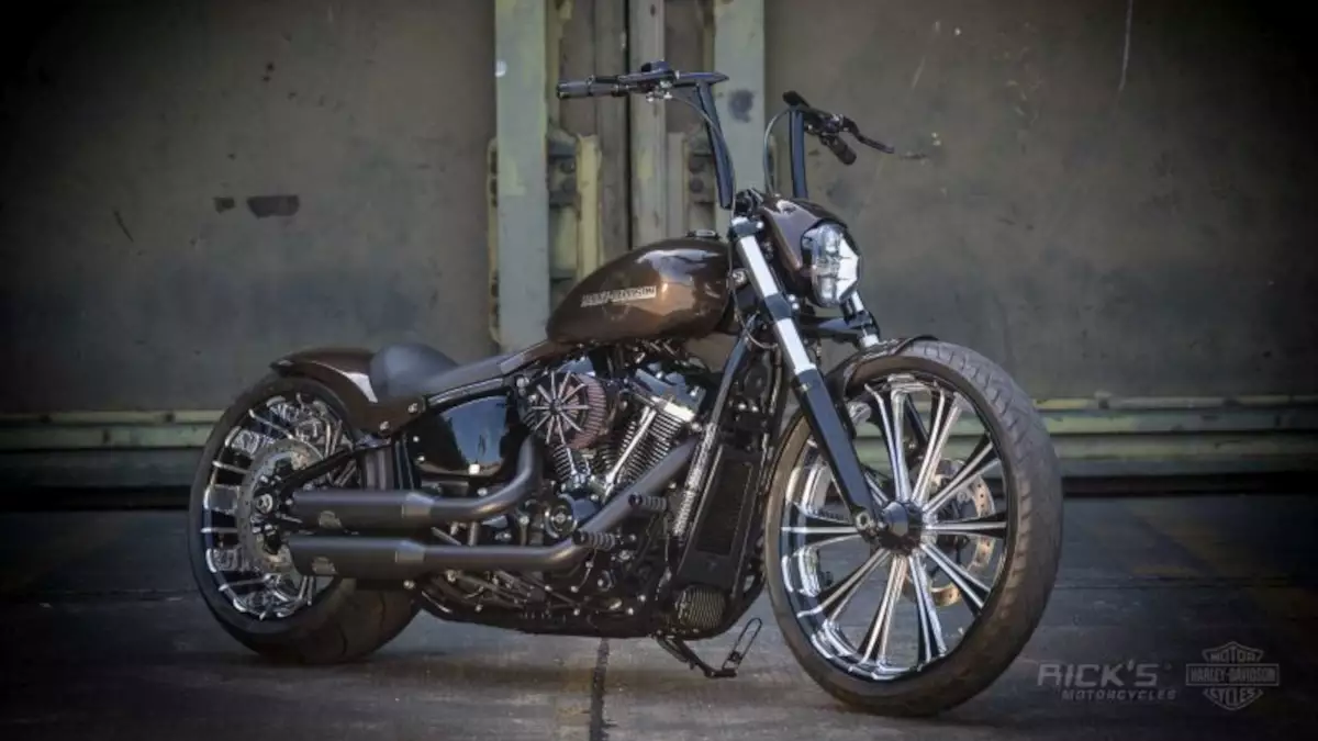 Harley Softail Breakout ‘Performance’ by Rick’s Motorcycles