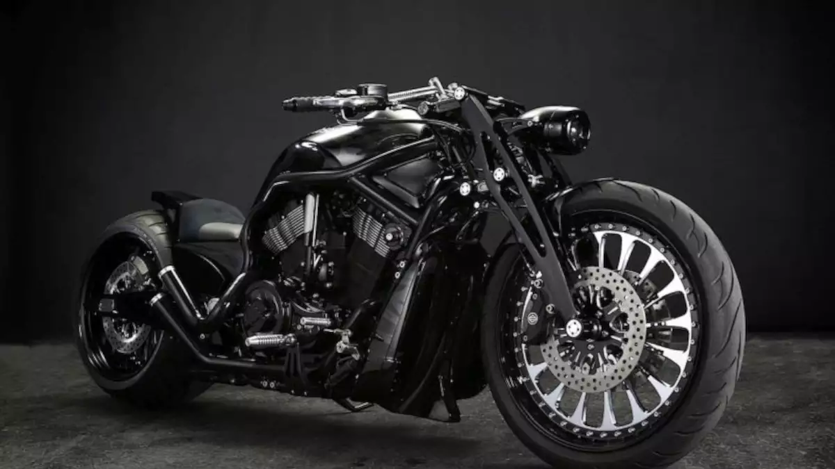 Harley Davidson Night Rod 'Edge of Rudo' by Bad Land