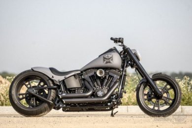 Harley Davidson Softail Big Ass by Rick's motorcycles