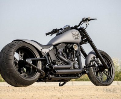 Harley Davidson Softail Big Ass by Rick’s motorcycles 09 – copia