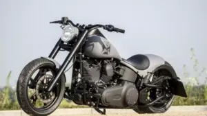 Harley Davidson Softail Big Ass by Rick’s motorcycles