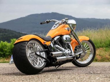 Harley Davidson Softail Fat Boy Custom by Rick’s motorcycles 8-min