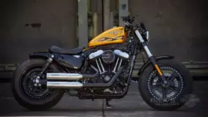 Harley-Davidson Sportster 1200 by Rick’s motorcycles