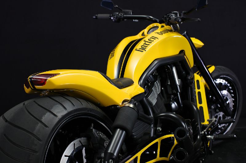 Harley-Davidson vrod muscle custom bad land