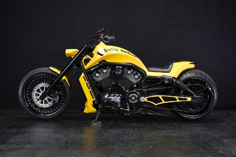 Harley-Davidson vrod muscle custom bad land
