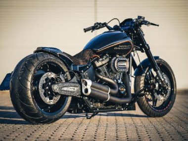 Harley Davidson FXDR Custom Destruction by Thunderbike 01