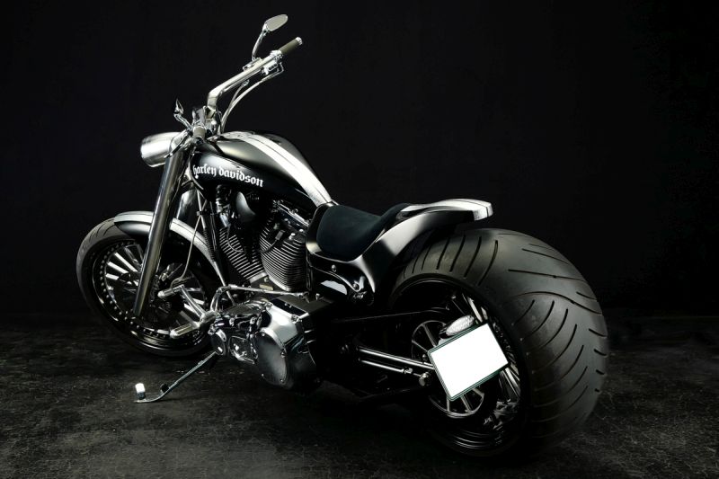 Harley Davidson Custom Softail Izanagi by Bad Land