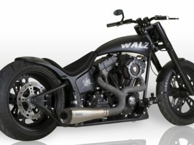 Harley Davidson Softail Adrenaline Dragstyle