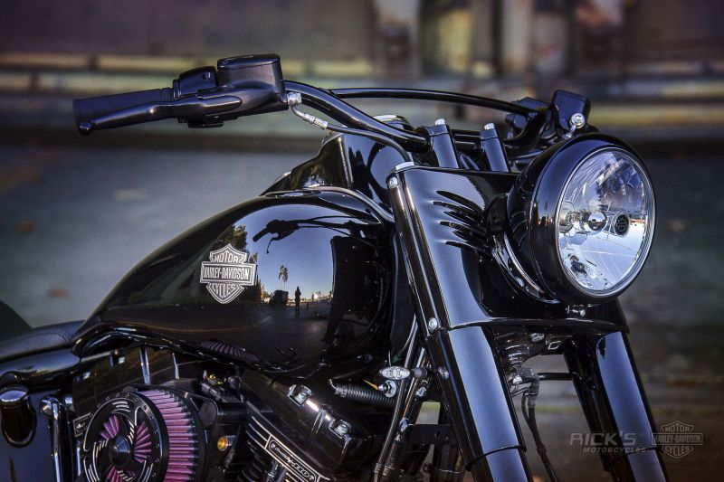 Harley Davidson Softail Slim S Magical 300 by Rick's motorcycles