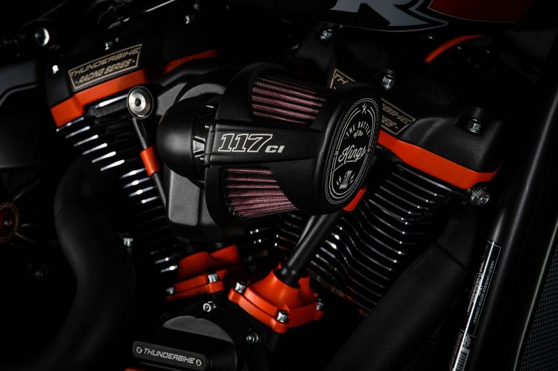 Harley Davidson softail FXDR 114 Custom by Thunderbike