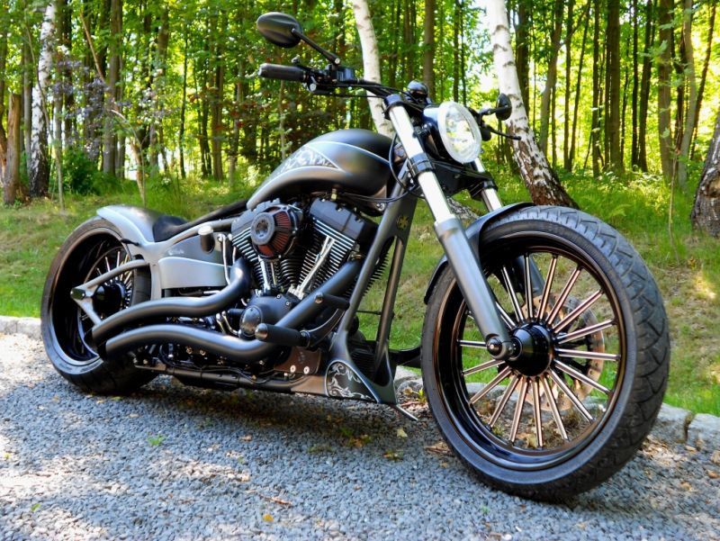 Harley-Davidson Softail Custom Graphite by BT Choppers