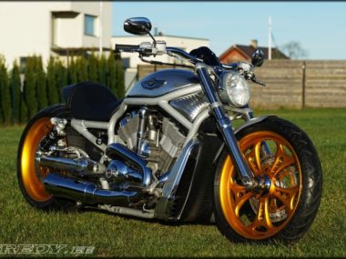 Harley V Rod Custom muscle fredy 01
