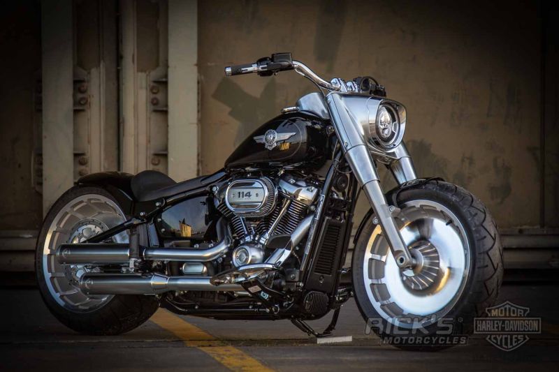 Harley davidson softail rick motorcycle