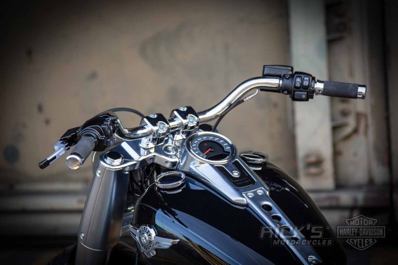 Harley davidson softail rick motorcycle