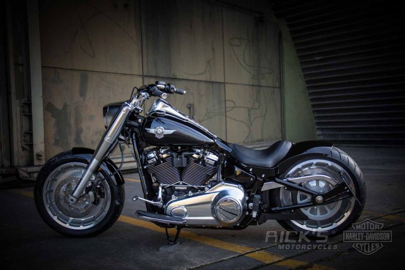 Harley davidson softail rick motorcycle