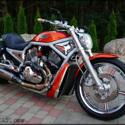 Harley Davidson V-Rod Custom muscle by Fredy motorcycles 04