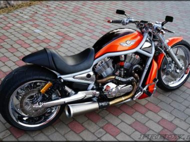 Harley Davidson V-Rod Custom muscle by Fredy motorcycles
