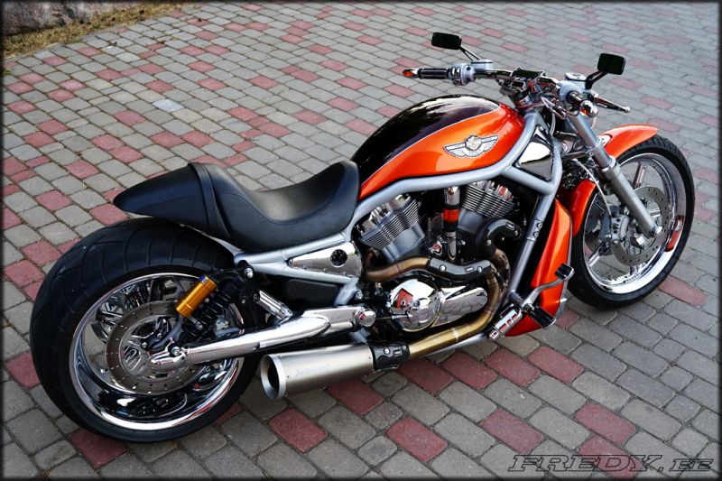 Harley Davidson V-Rod Custom muscle by Fredy motorcycles