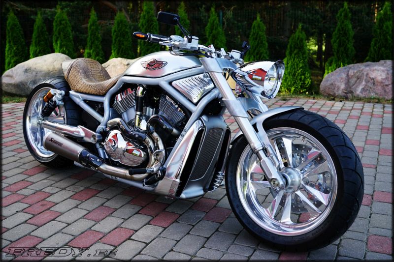 Harley-Davidson VRSCA V-Rod muscle ‘Leather’ by Fredy motorcycles