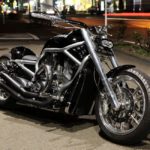 Harley Davidson vrod muscle by bad land