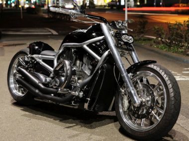 Harley Davidson vrod muscle by bad land 05