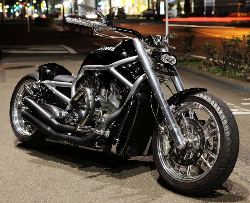 Harley Davidson vrod muscle by bad land