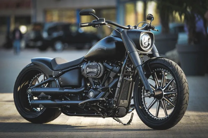Harley-Davidson Fat Boy 114 Big Twin Dark Dude by Thunderbike