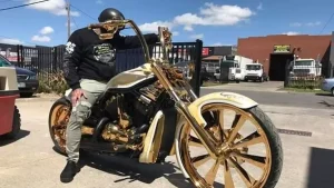 Harley-Davidson VRod Ape Hanger ‘Gold’ by Pega Custom Cycles