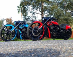 harley davidson night rod dgd customs