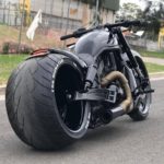 harley-davidson vrod muscle dgd custom