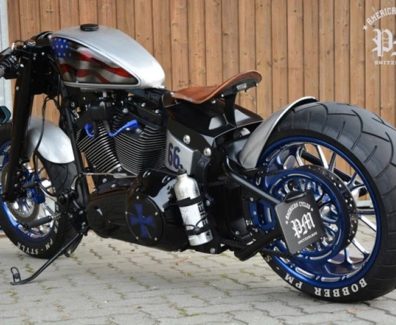 2019 Harley Davidson sporster pm american cycles 08