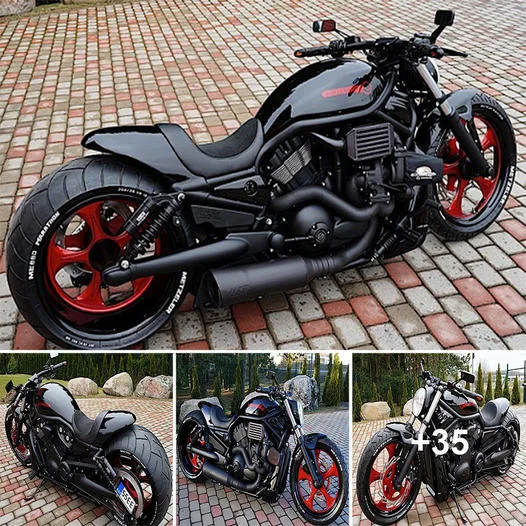 Harley Davidson V Rod muscle 'Red' by Fredy motorcycles