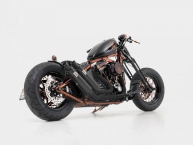 Harley Custom Softail Slim S Springer by Bündnerbike 02