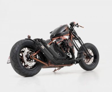 Harley Custom Softail Slim S Springer by Bündnerbike 02