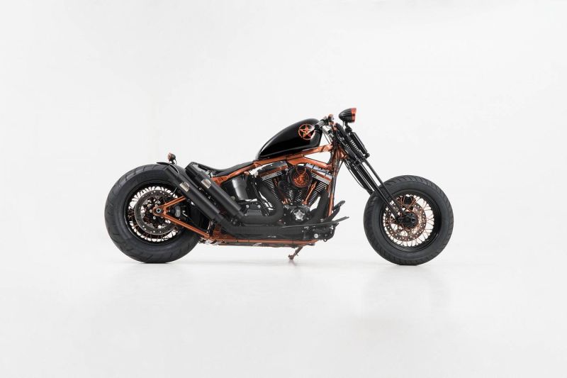 Harley Custom Softail Slim Springer