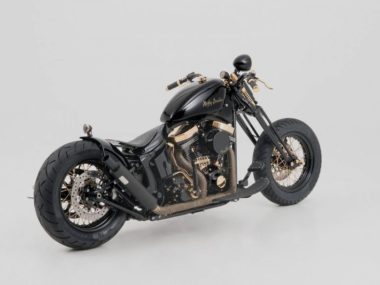 Harley Custom Springer Slim S 'Gold Junge 2' by Bünderbike