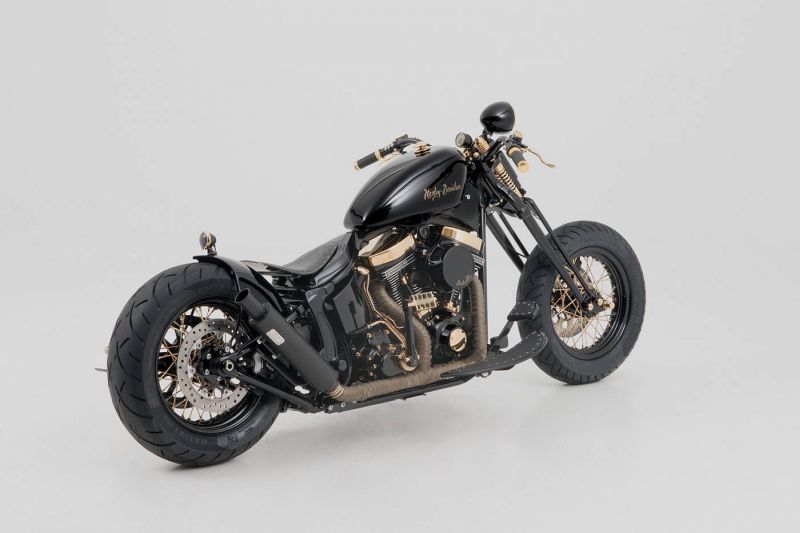Harley Custom Springer Slim S ‘Gold Junge 2’ by Bünderbike