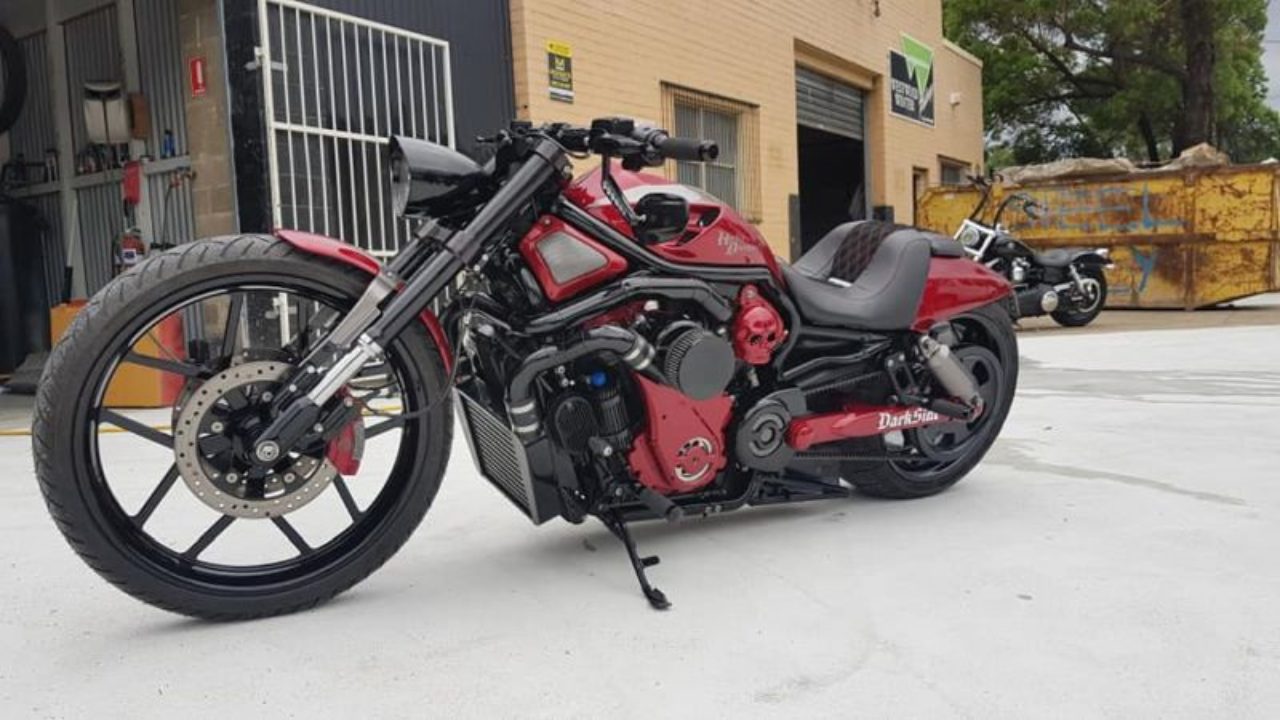 Harley Night Rod Australia By Darkside Sydney