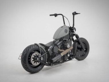 Harley Davidson Softail Slim "Iron" by Bündnerbike
