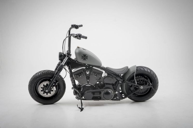 Harley Davidson Softail slim iron by Bundnerbike