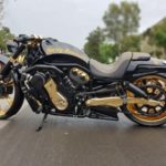 Harley Davidson Night Rod custom Gold by DarkSide