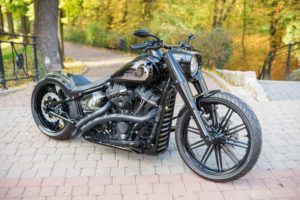 Harley-Davidson fat boy by nine hills motorcycles 03