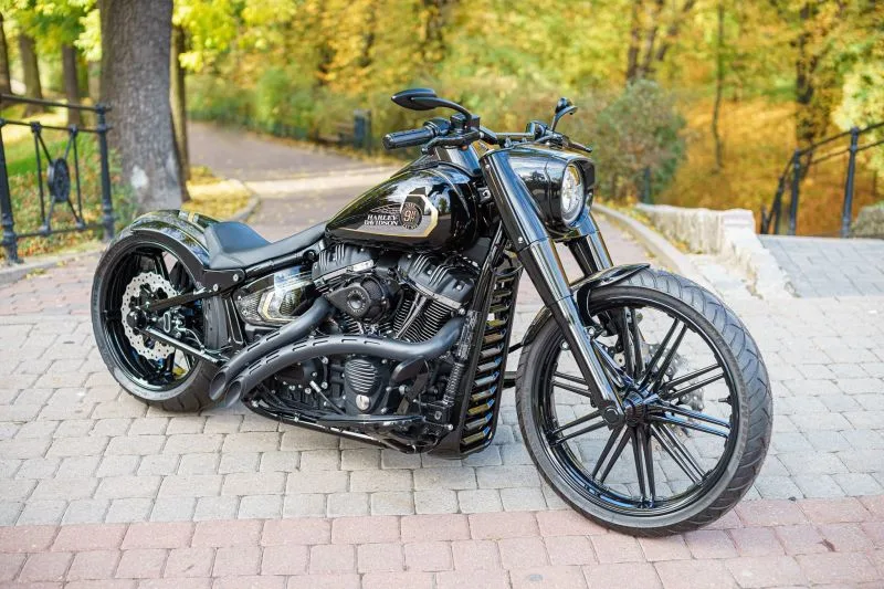 Harley-Davidson FAT BOY 'Brutal' by Nine Hills Motorcycles