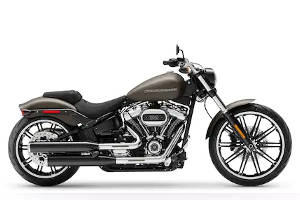 Softail for sale on ebay
