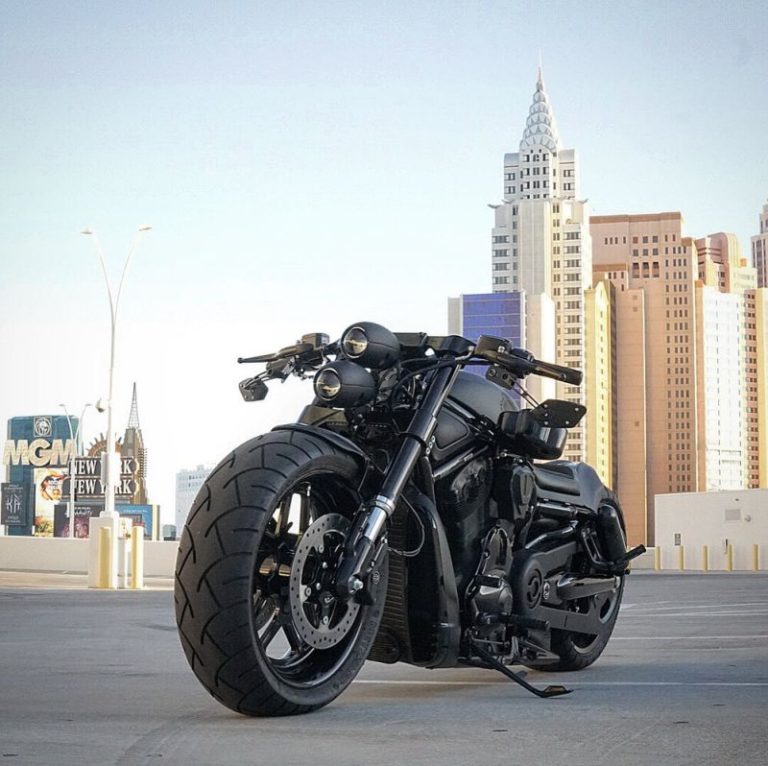 harley davidson v rod brutus price