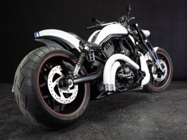 Harley-Davidson Springer Night Rod 'Diesel' by Bad Land